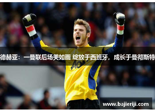德赫亚：一曼联后场美如画 绽放于西班牙，成长于曼彻斯特