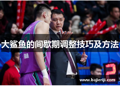 大鲨鱼的间歇期调整技巧及方法