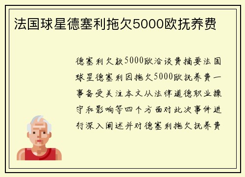 法国球星德塞利拖欠5000欧抚养费